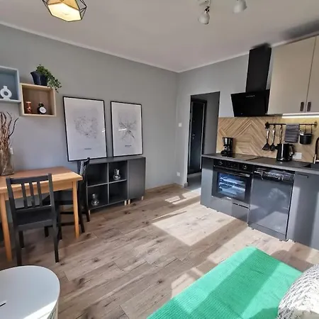Flat Near Old Town 公寓