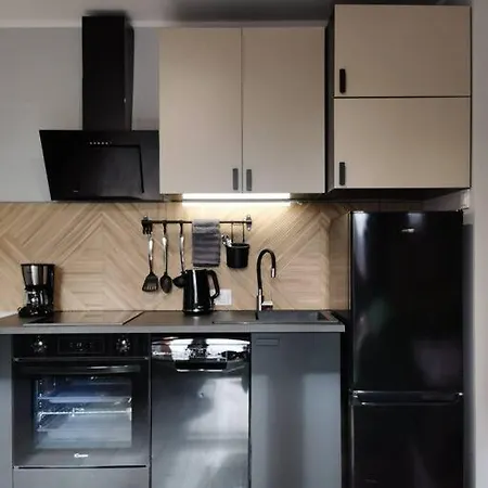 Flat Near Old Town *